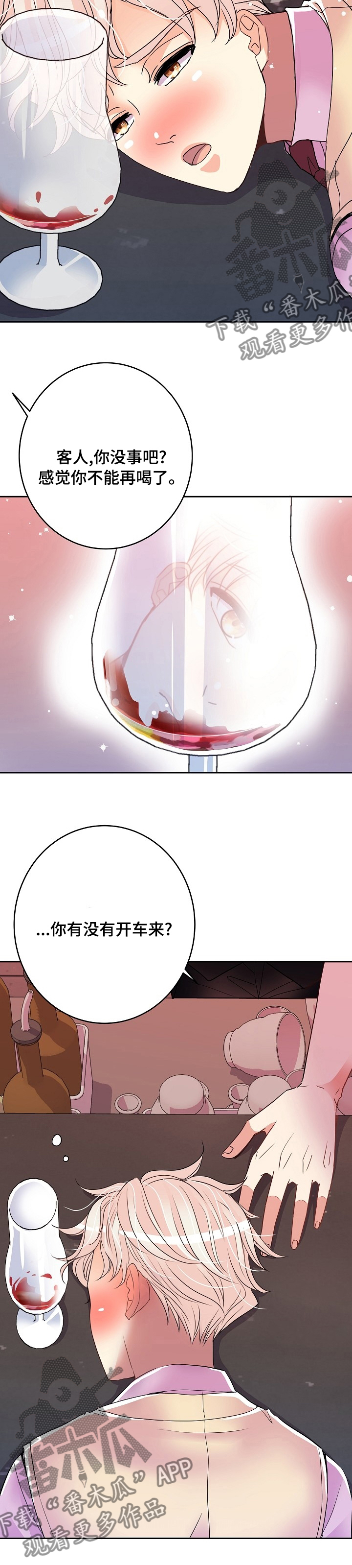第62章：车混蛋7