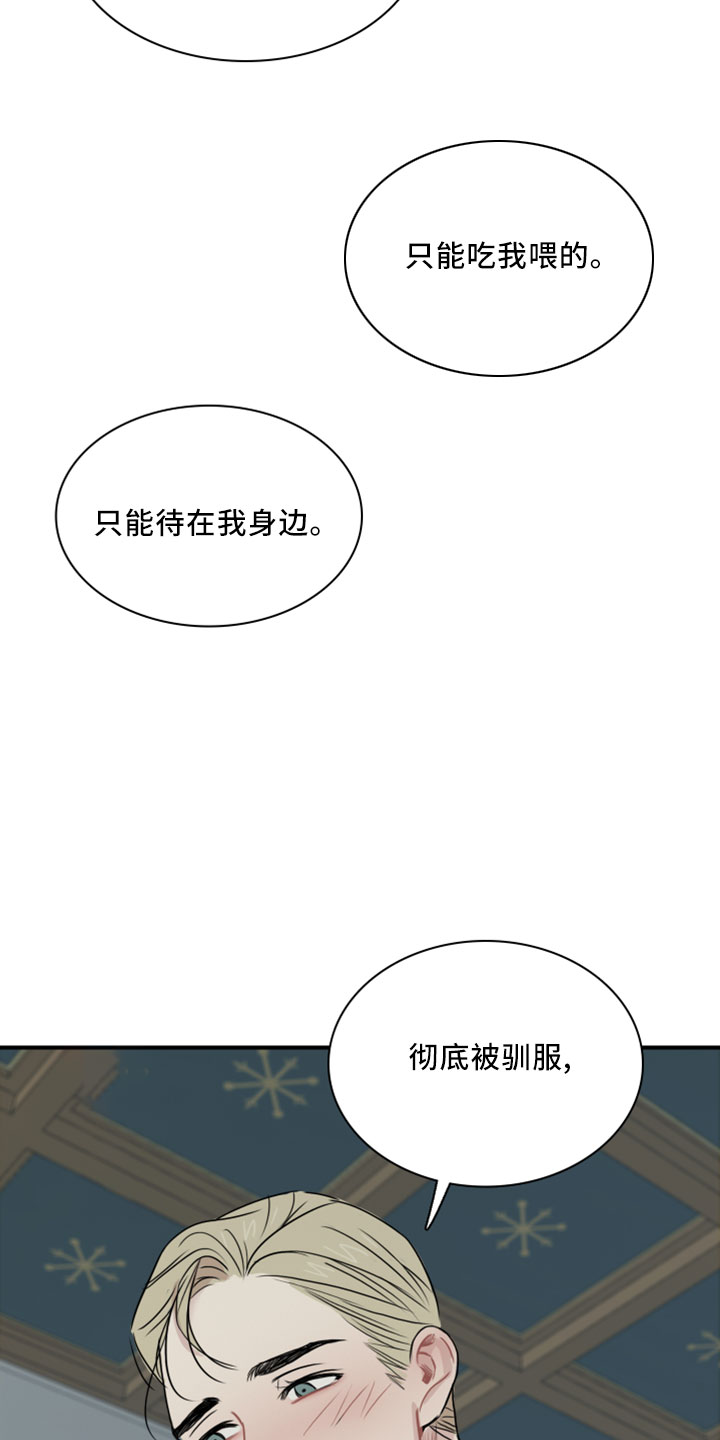 第27章：再来一次8