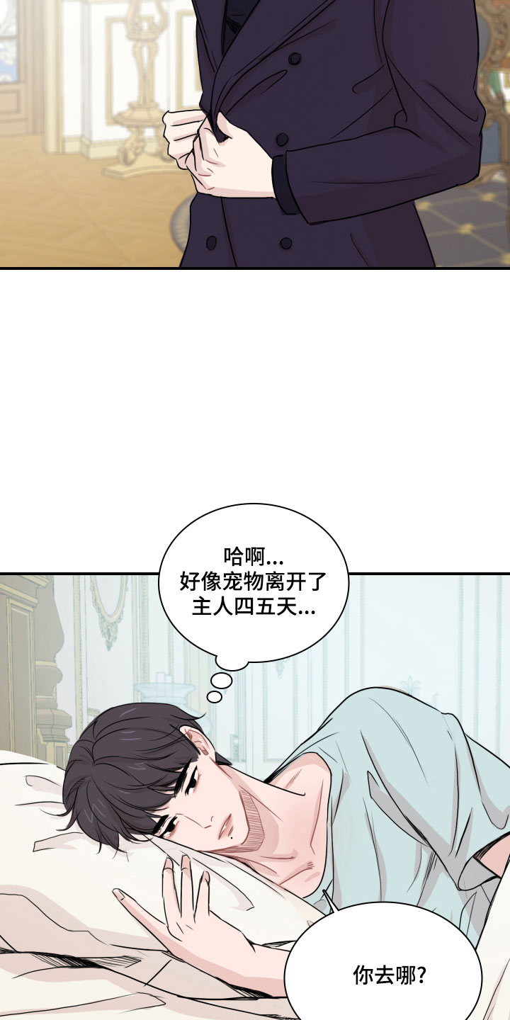 第28章：消失了15