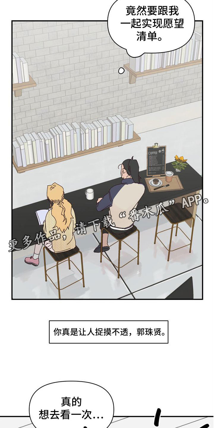 第21章：愿望清单19