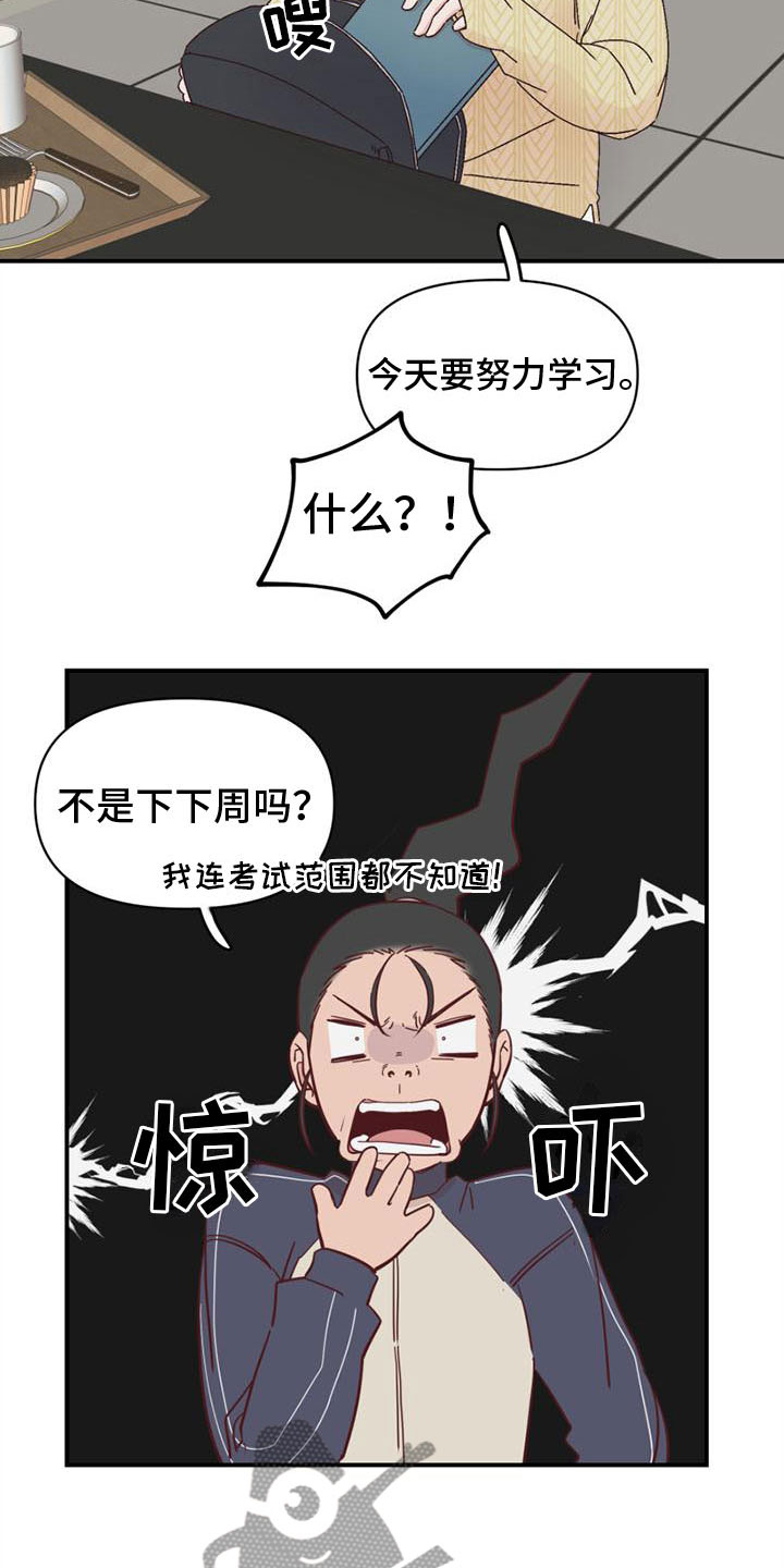 第20章：去学习13