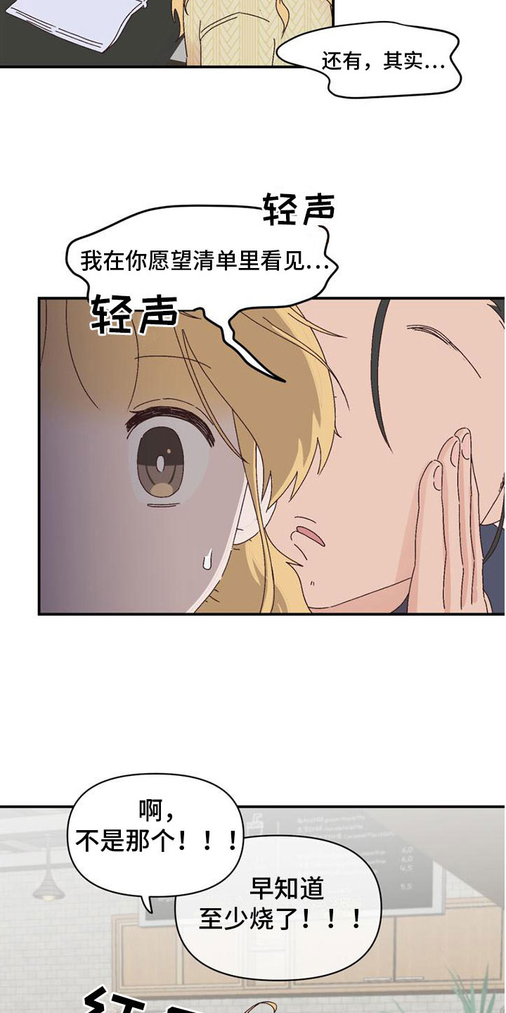 第21章：愿望清单16