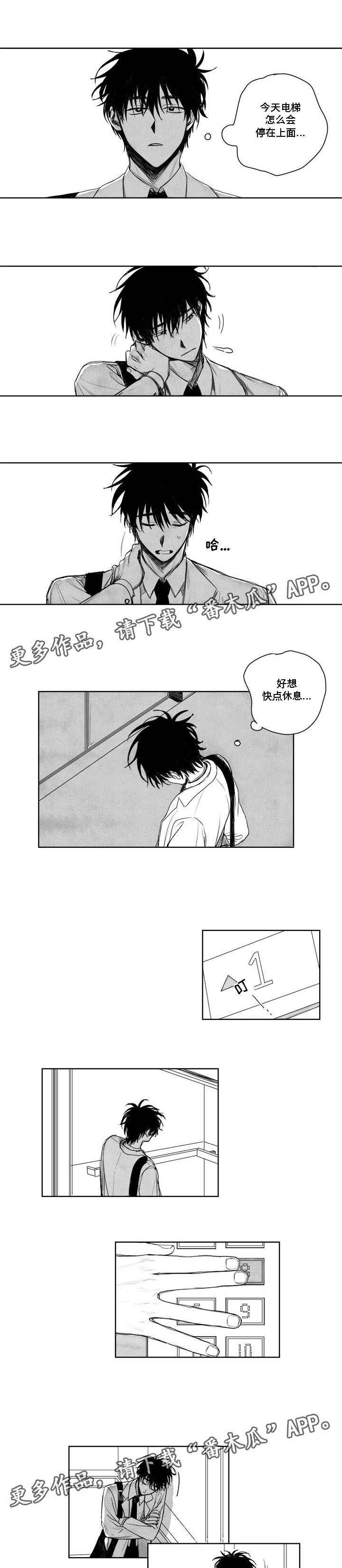 第6章：幻觉？0
