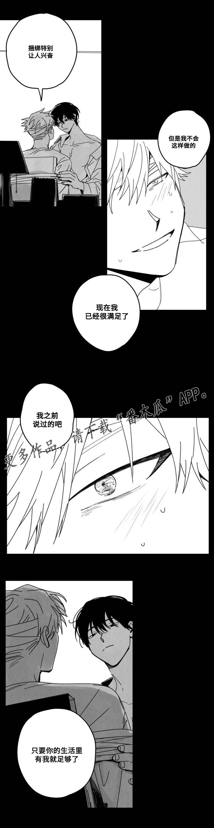 第53章：傻瓜2