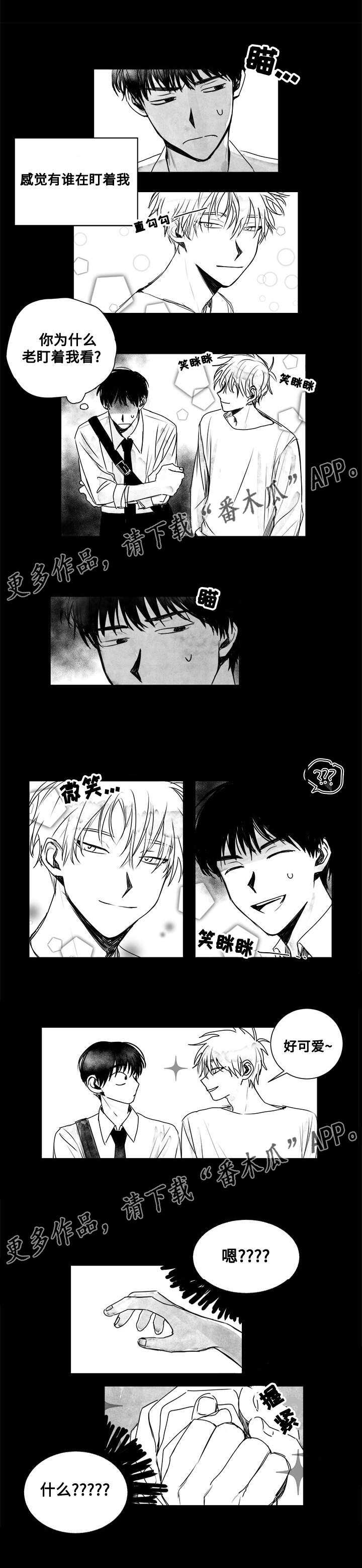 第11章：跟踪者？1
