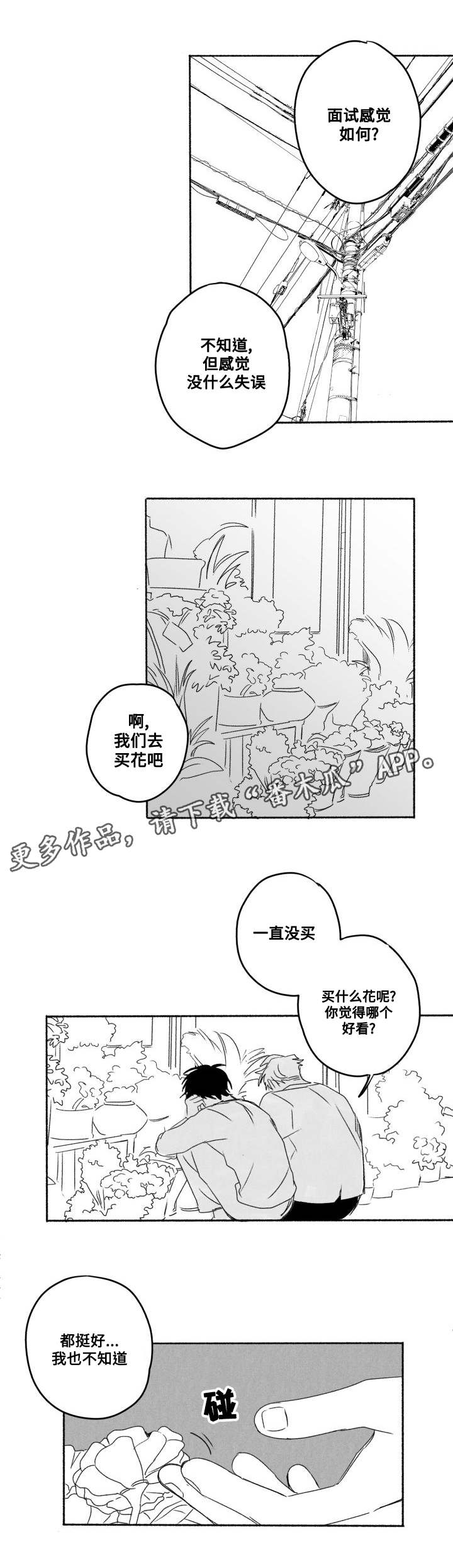 第59章：我喜欢你11