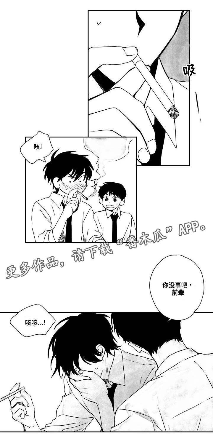 第33章：没事的0