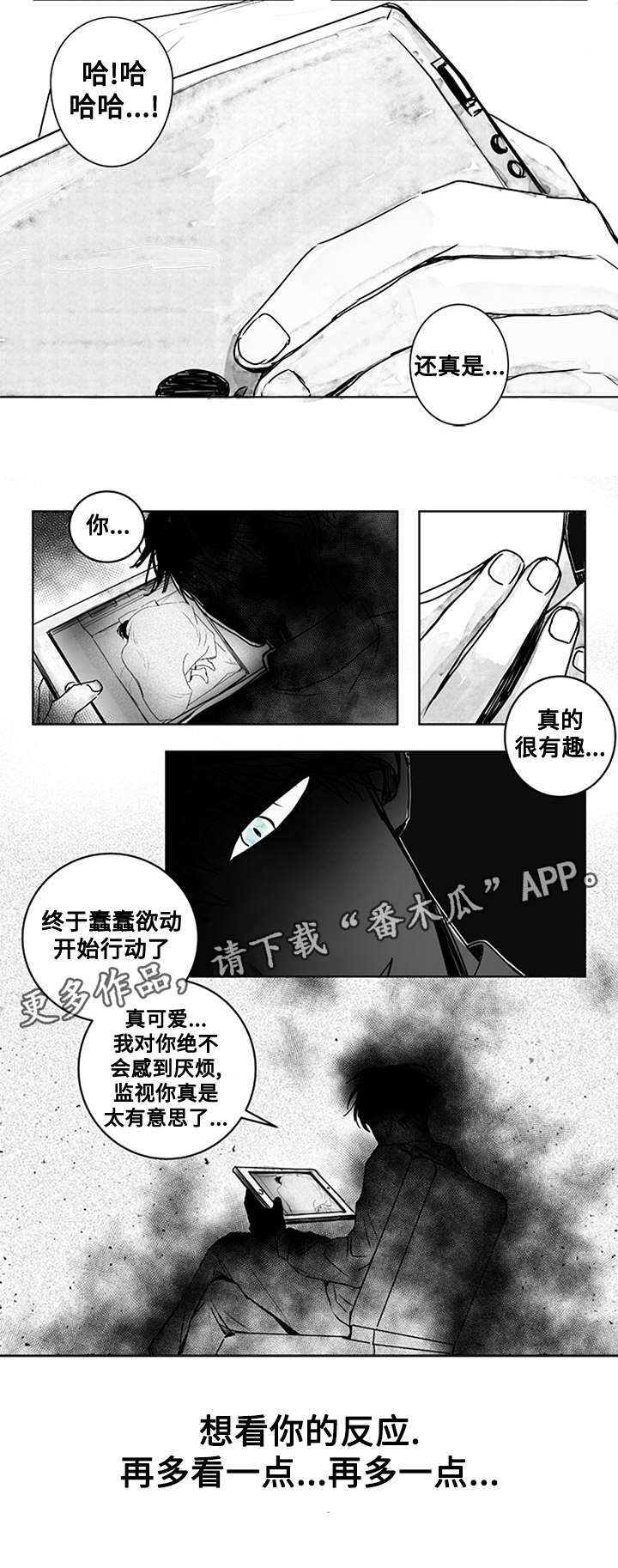 第13章：越发微妙4