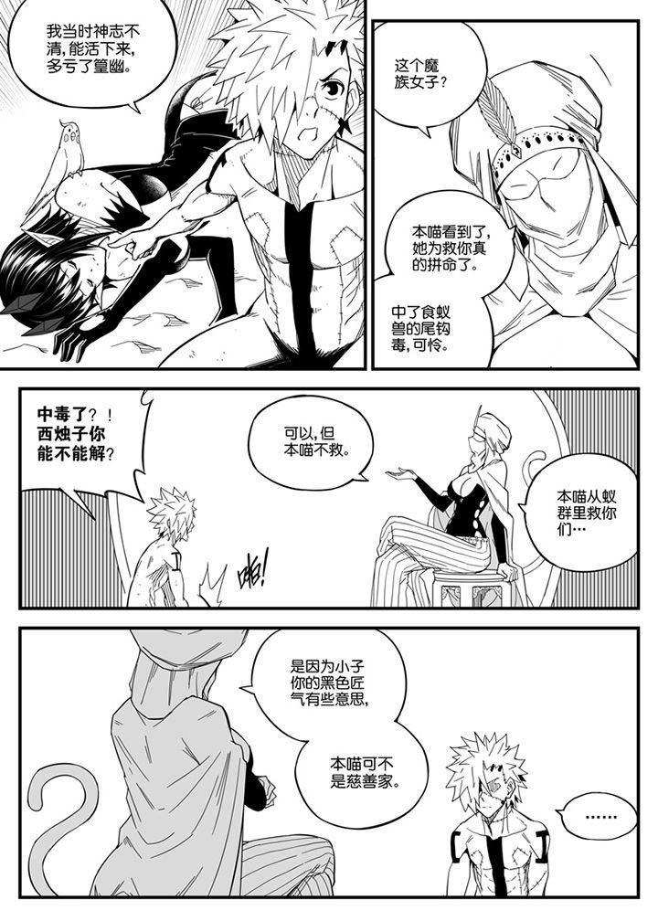 第146章：12
