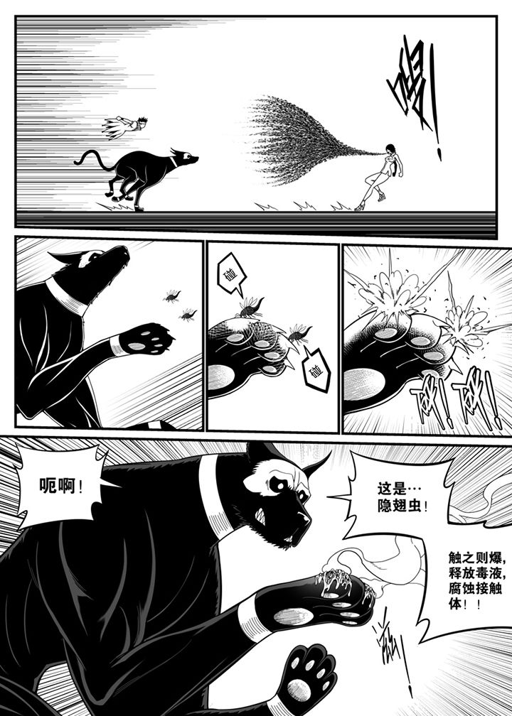 第113章：5