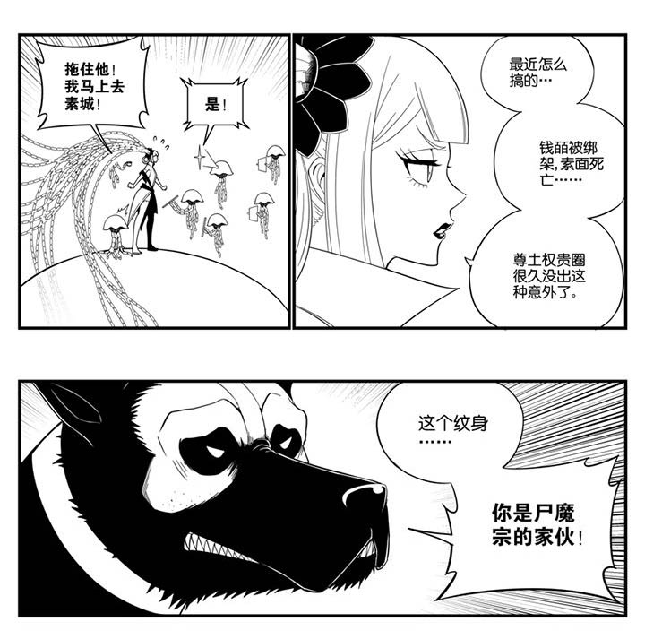 第113章：1