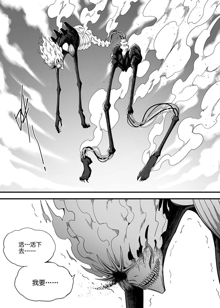 第137章：6
