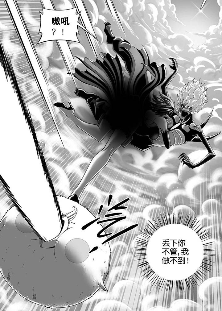 第138章：11