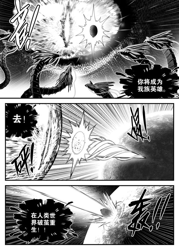 第141章：5