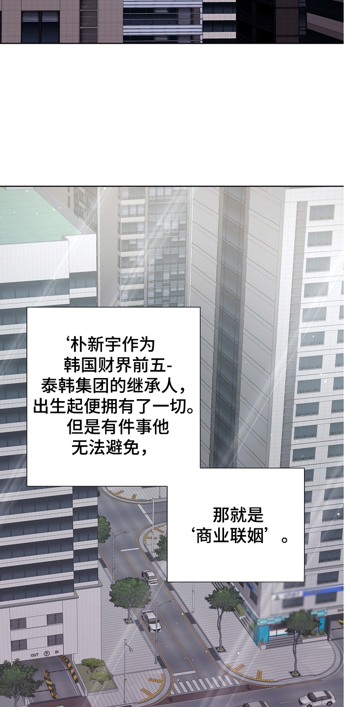 第1章：商业联姻1