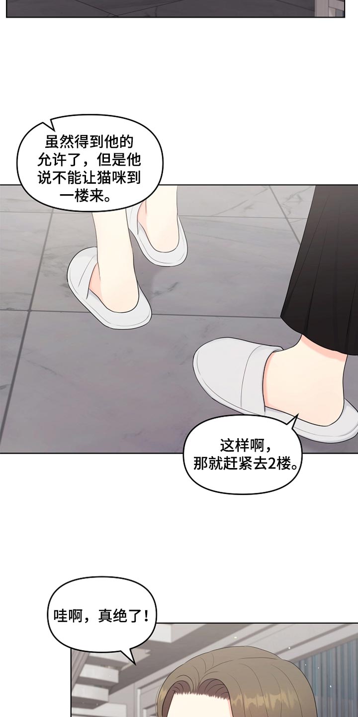 第41章：猫咪25