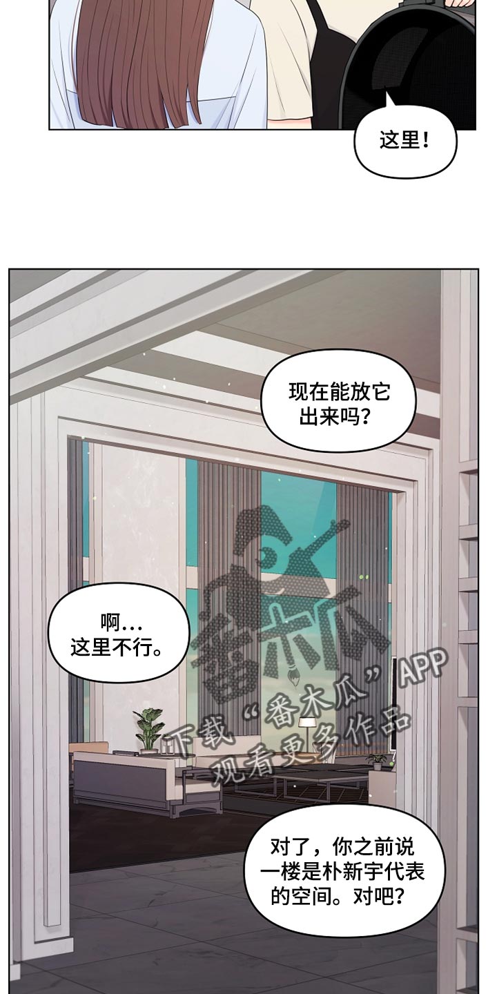 第41章：猫咪24