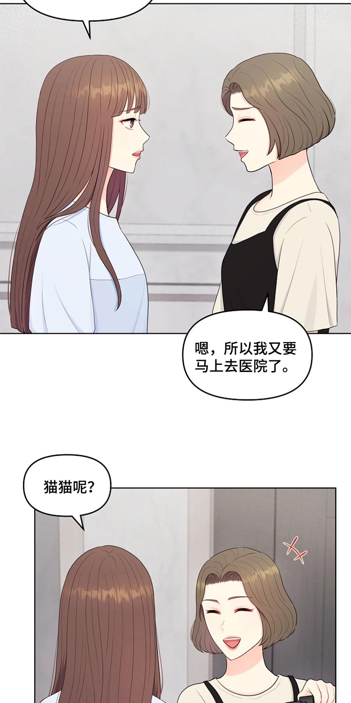 第41章：猫咪23