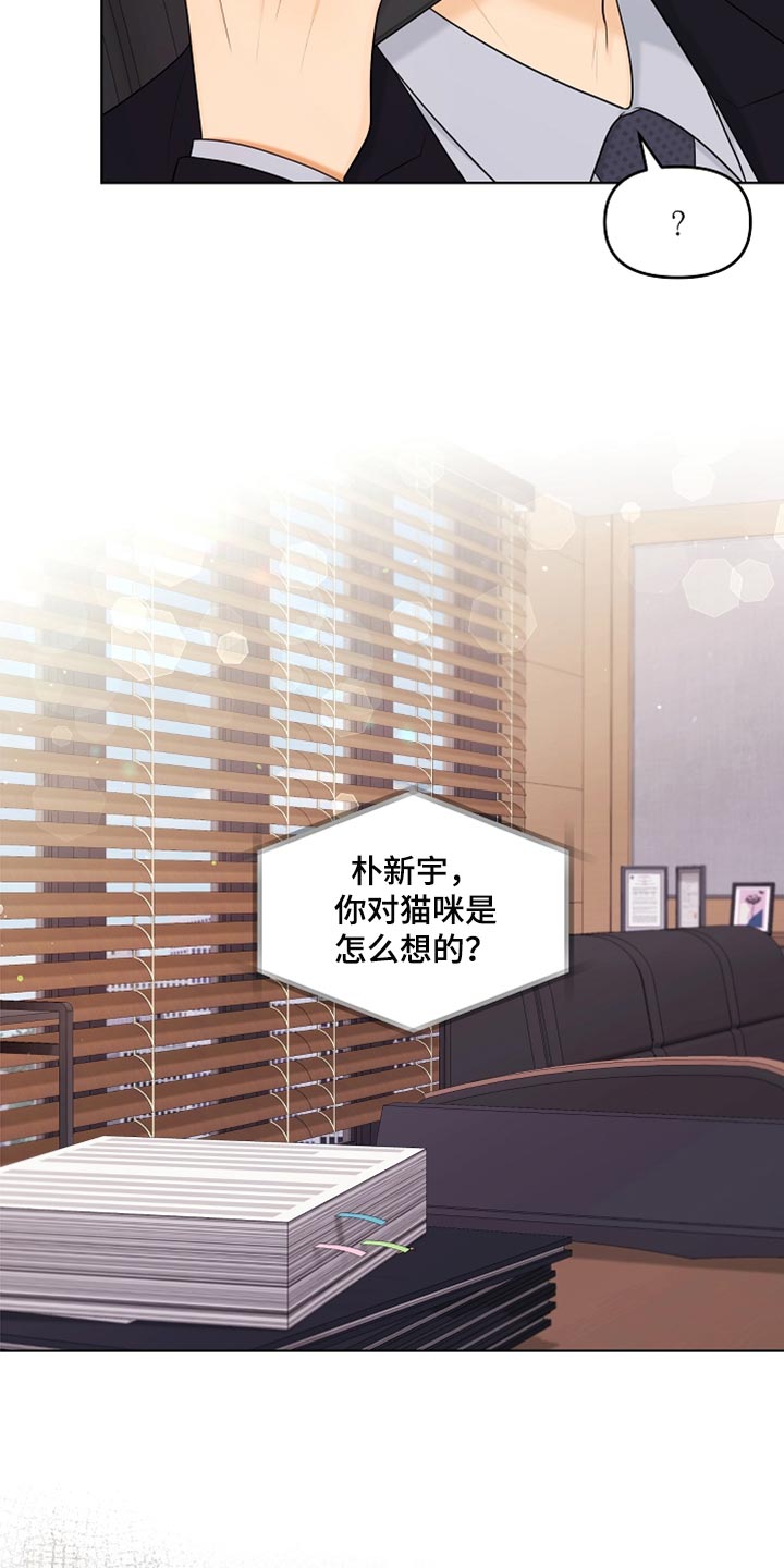 第41章：猫咪20
