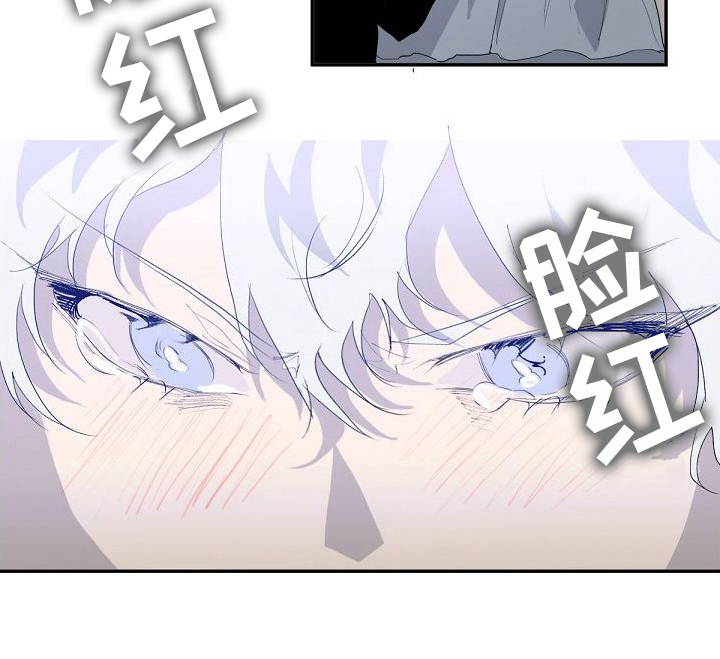第6章：越线发言13