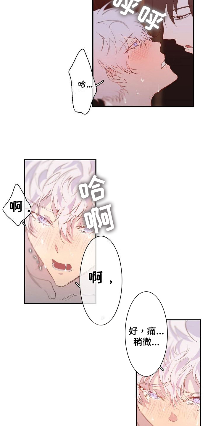 第9章：课程11