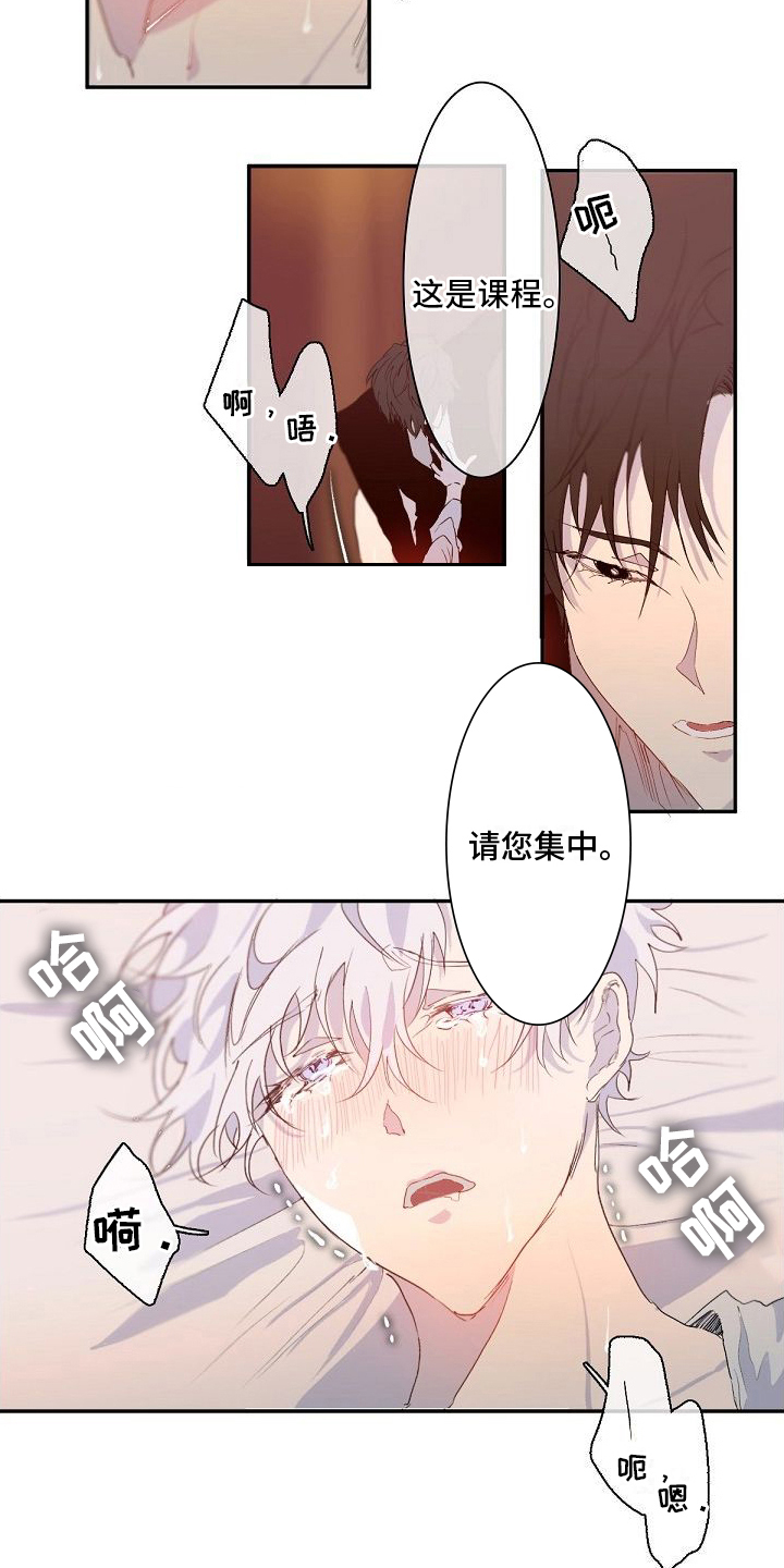 第9章：课程6