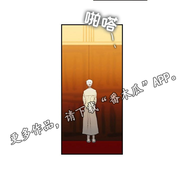 第7章：建议13
