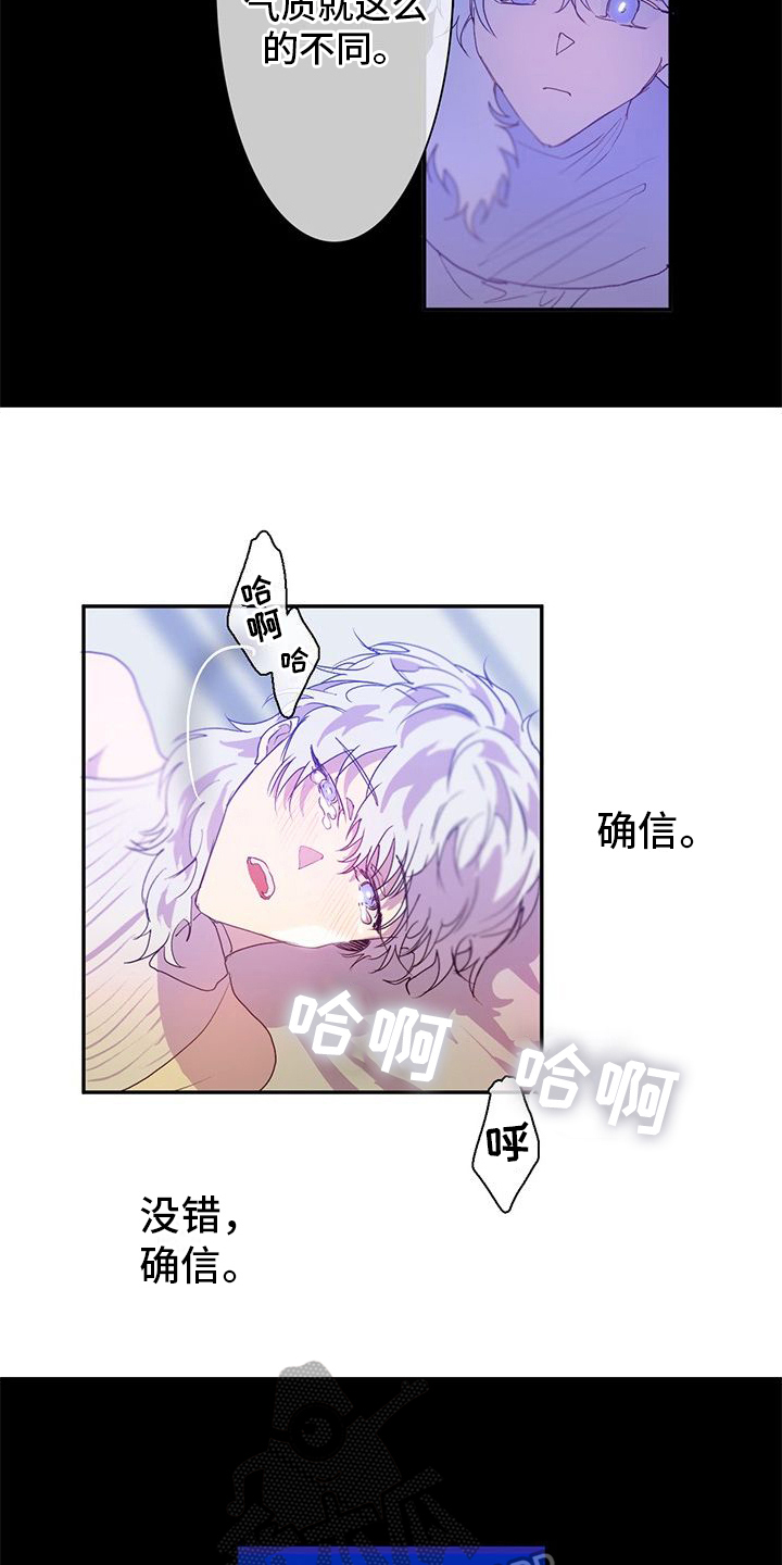第11章：确定7