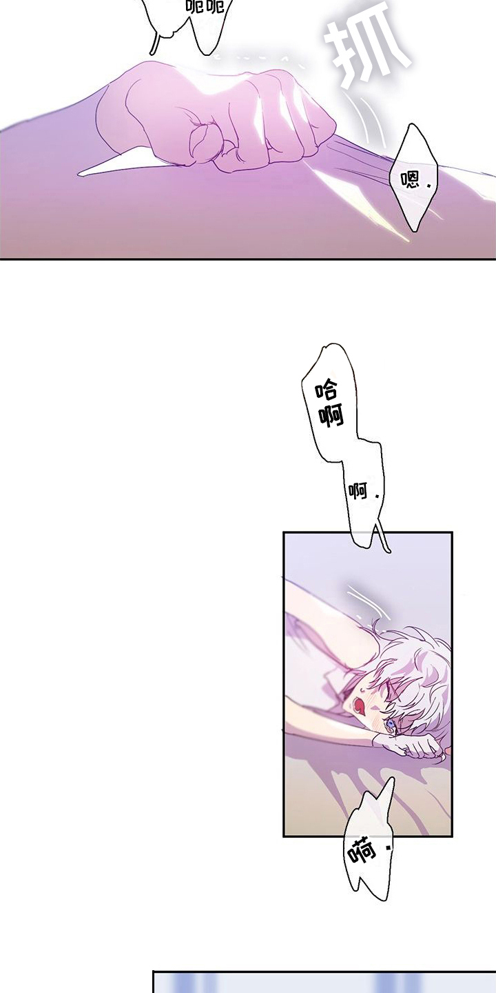 第11章：确定5