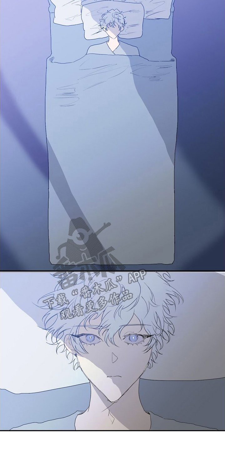 第7章：建议11