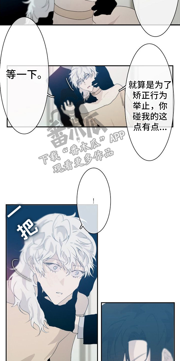 第4章：教导12