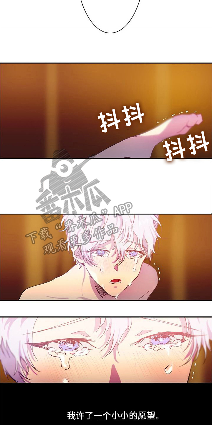 第10章：小愿望8
