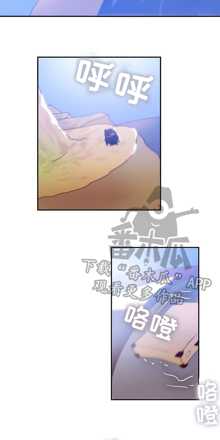 第12章：抛弃迷茫【完结】6