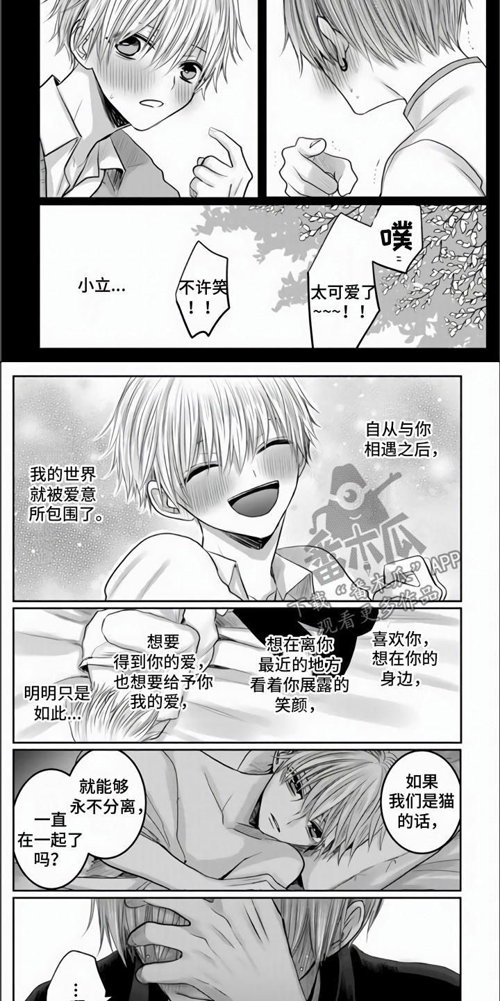 第31章：都是我的错6