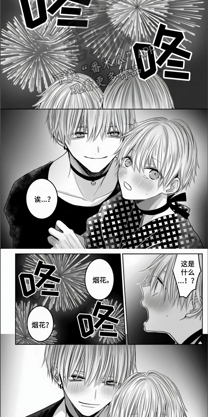 第15章：烟花大会6