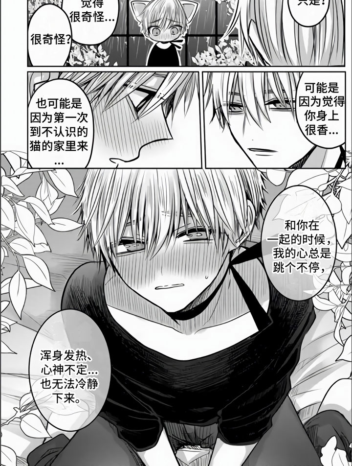 第3章：被拐走了5