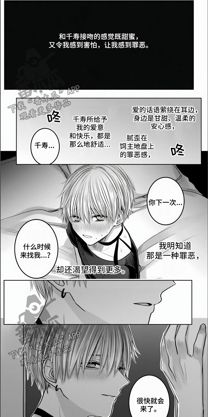 第13章：发热期来临6