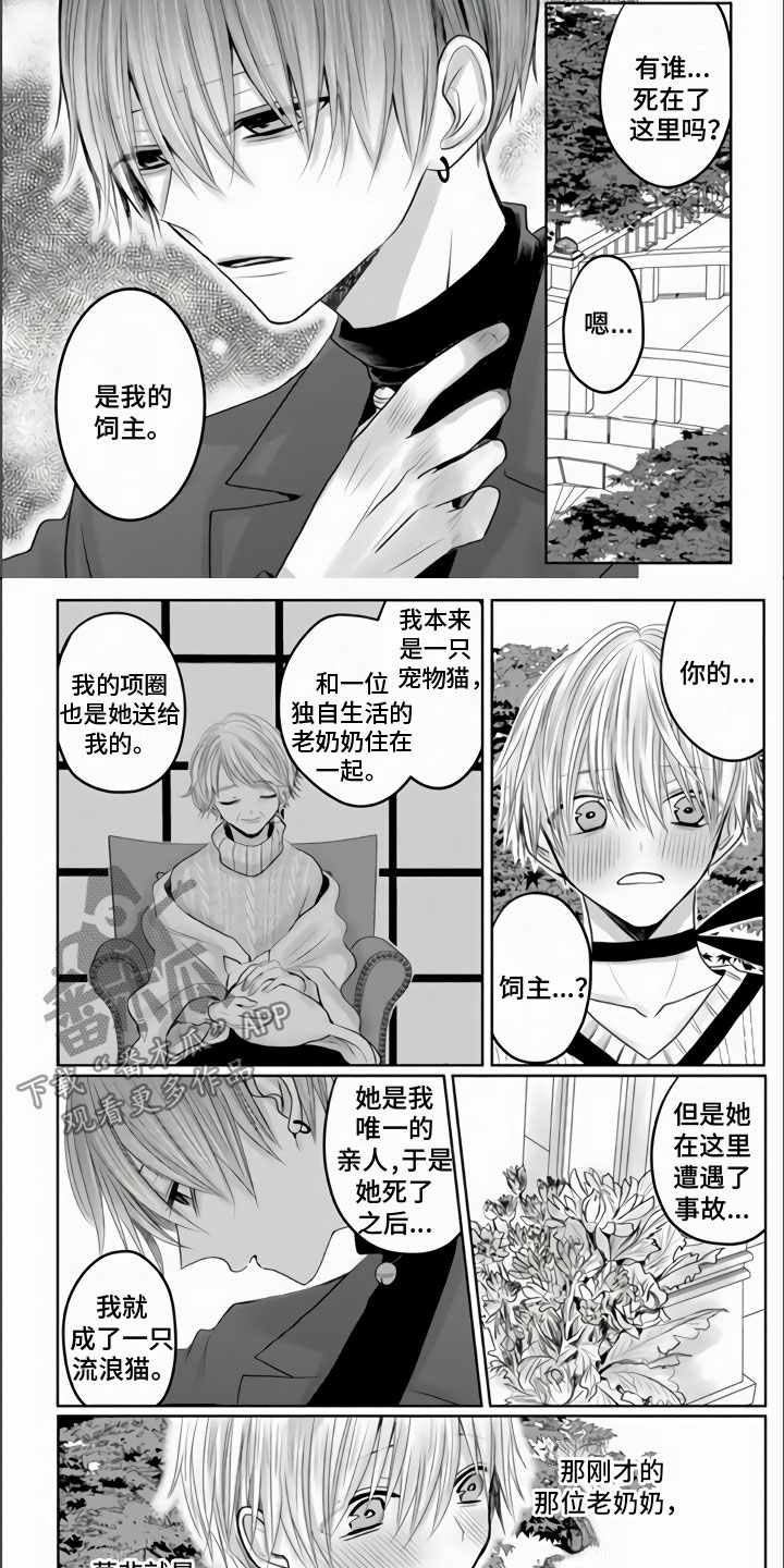 第21章：他哭泣的脸6