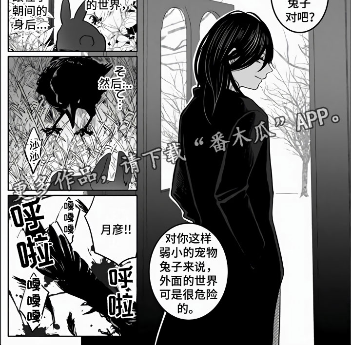 第18章：兔子与猫8