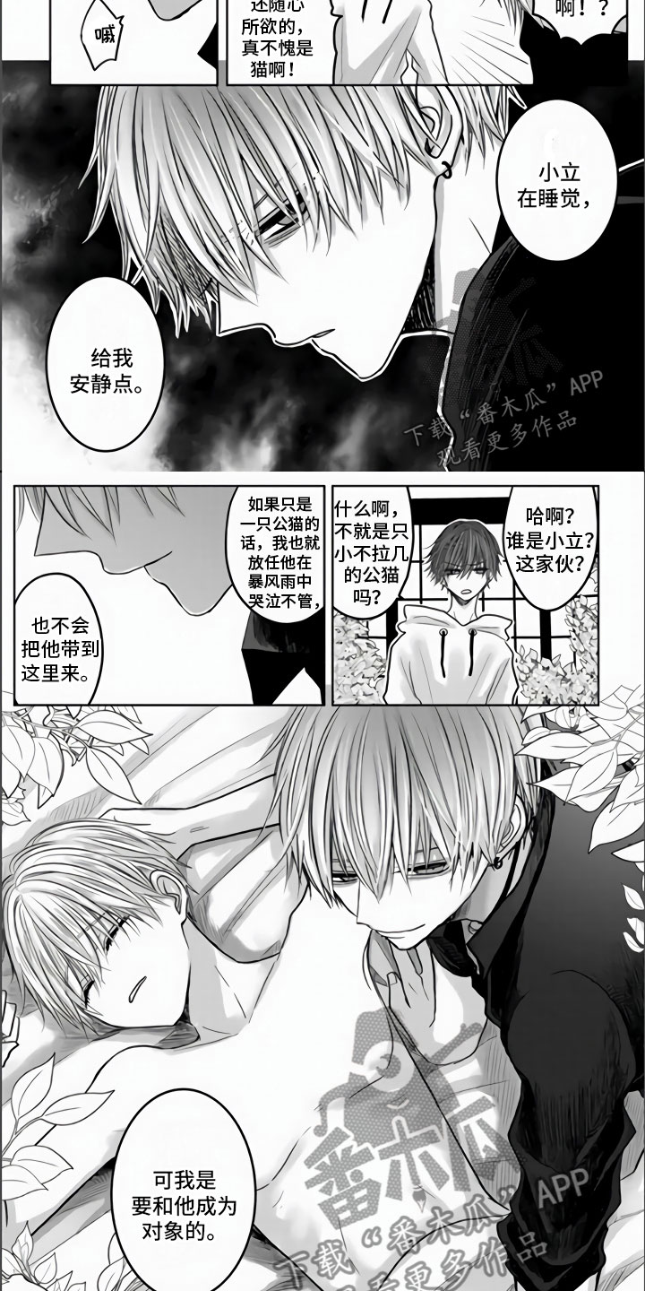 第5章：全世界最喜欢5