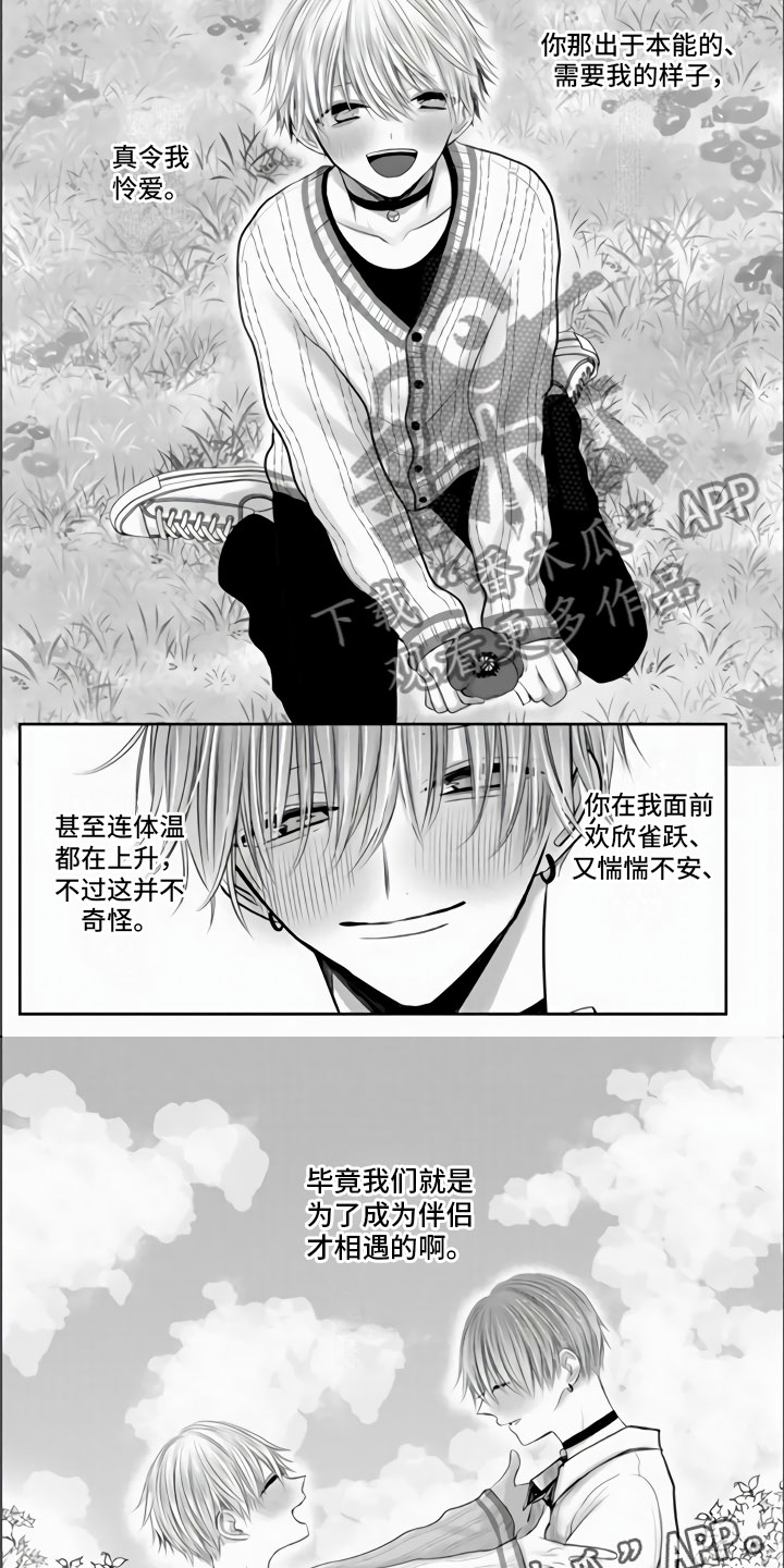 第36章：我们的相遇（完结）5