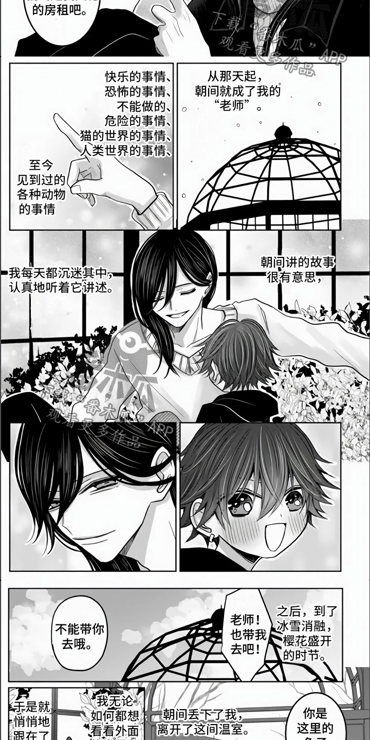 第18章：兔子与猫7