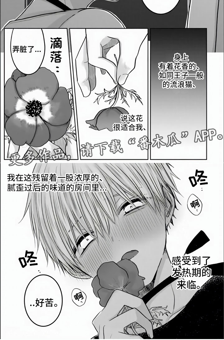 第13章：发热期来临7