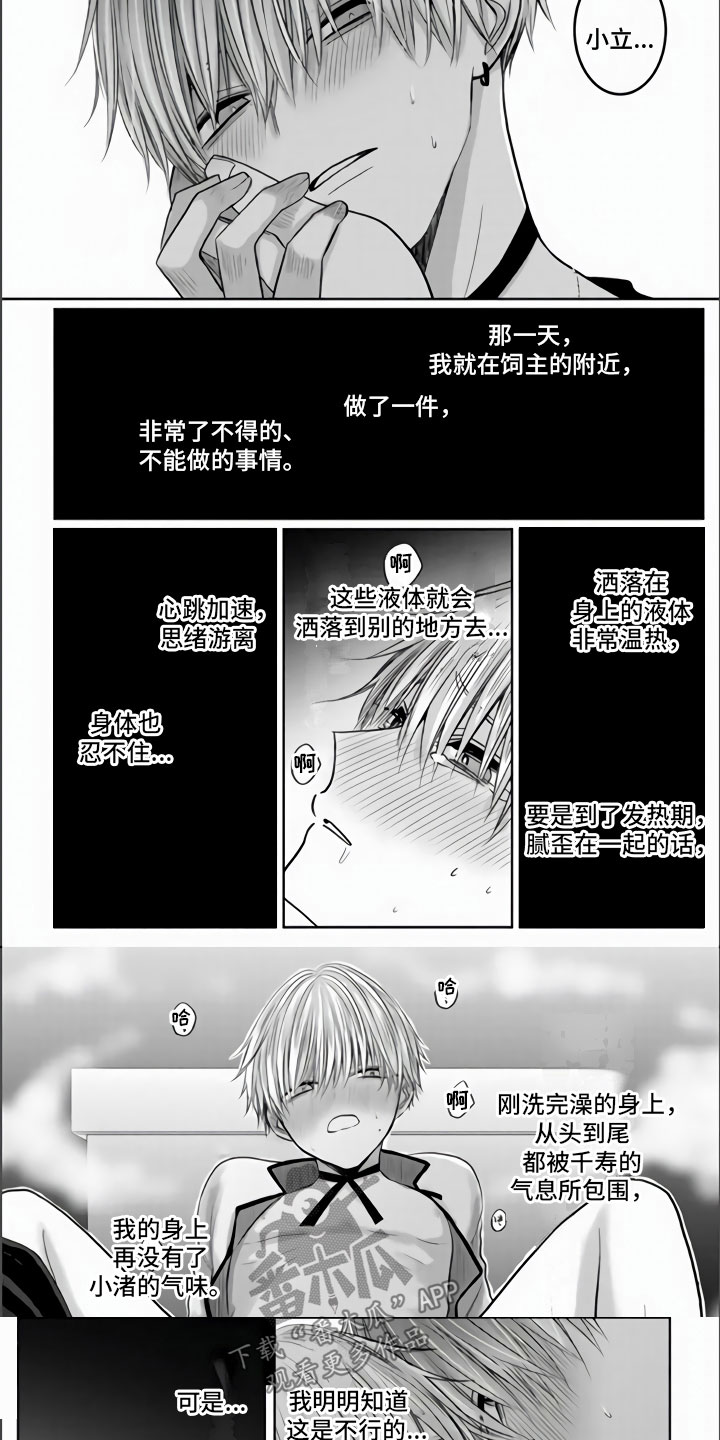 第9章：把你夺走了6