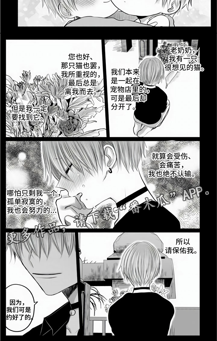 第33章：我们约好了7