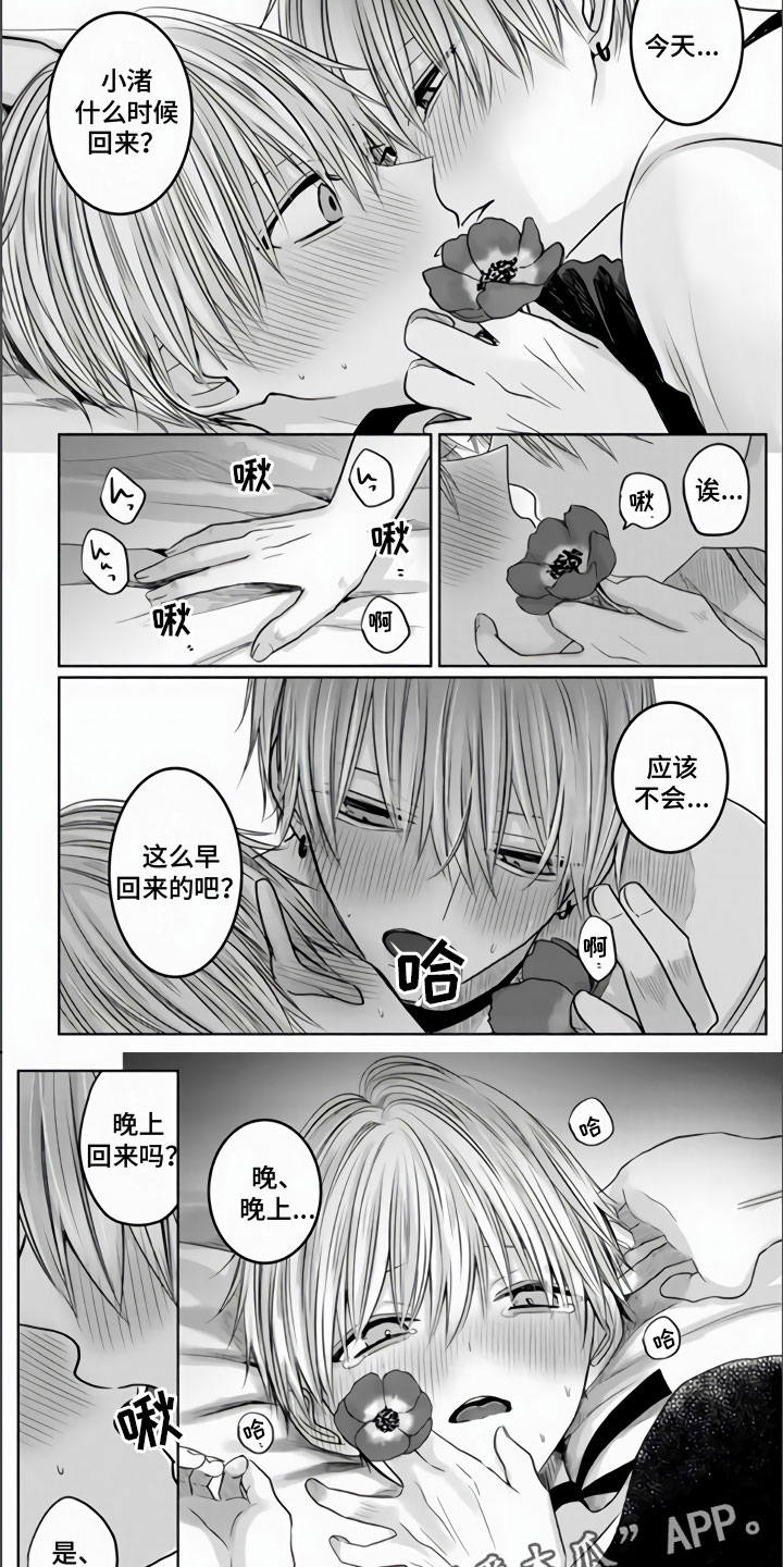 第12章：主人不在家6
