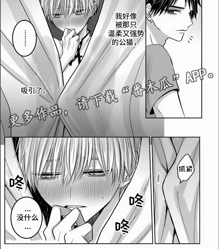 第9章：把你夺走了8