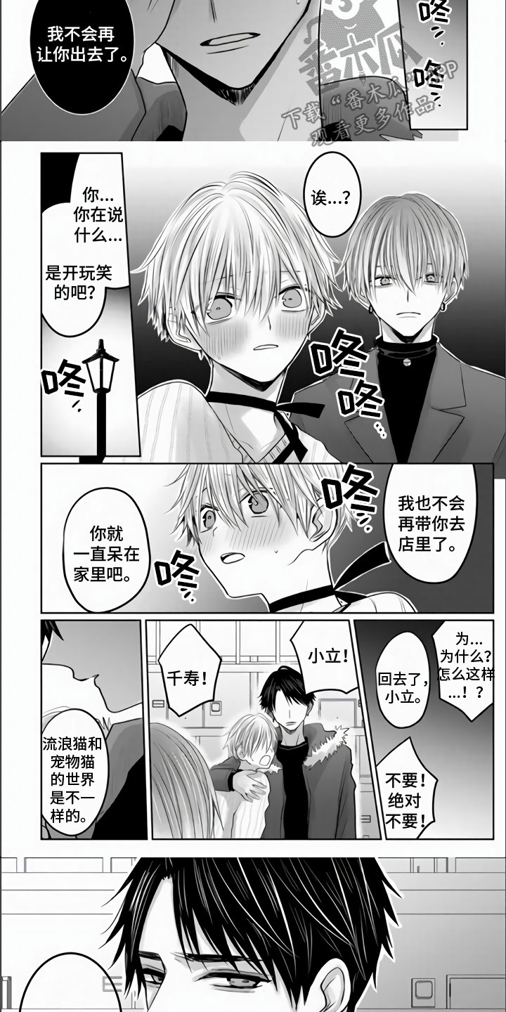 第23章：棒打鸳鸯6