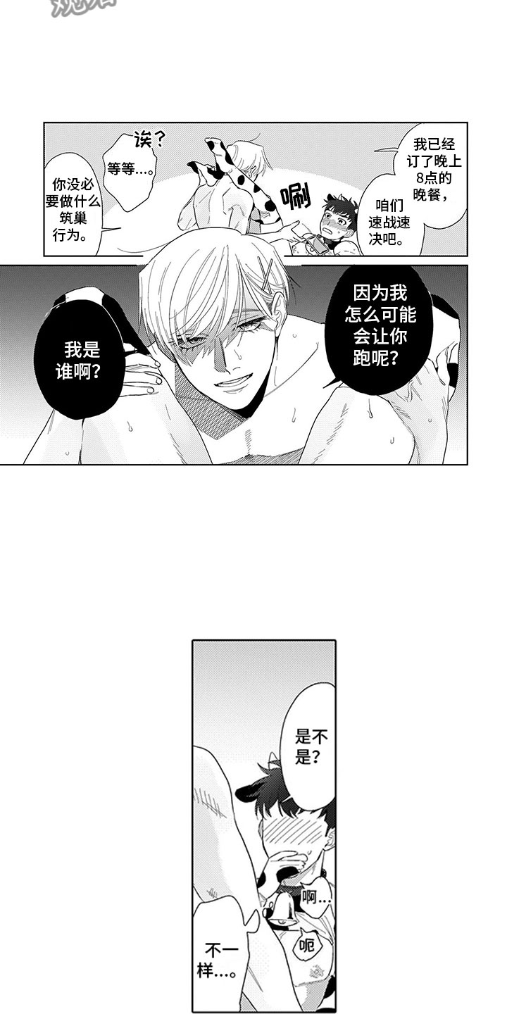 第21章：命中注定21