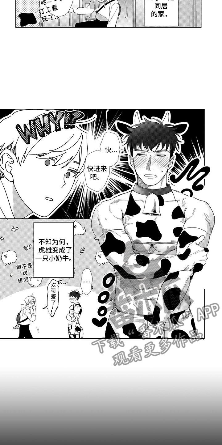 第21章：命中注定13